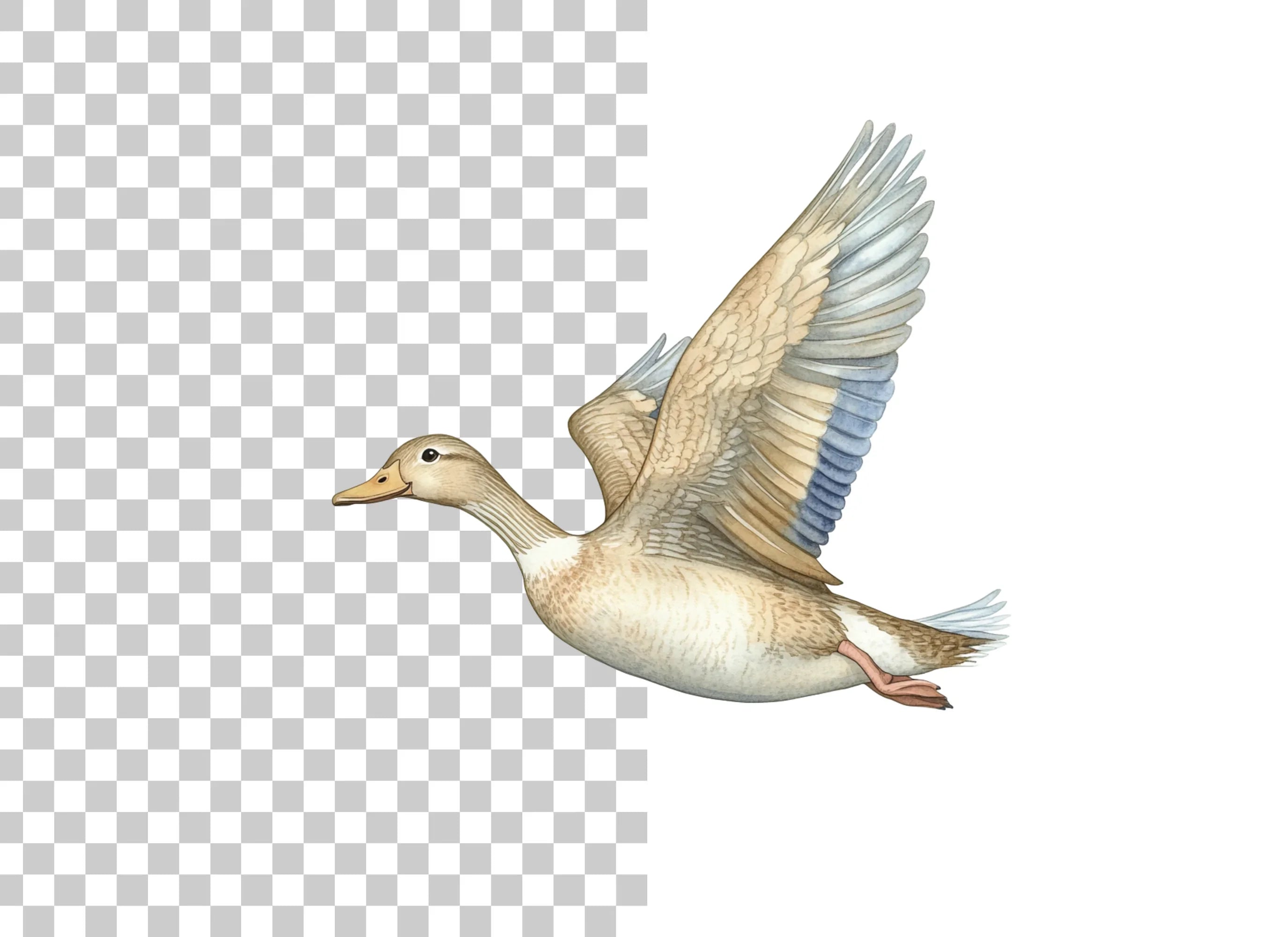 Flying White Ducks Clipart Bundle