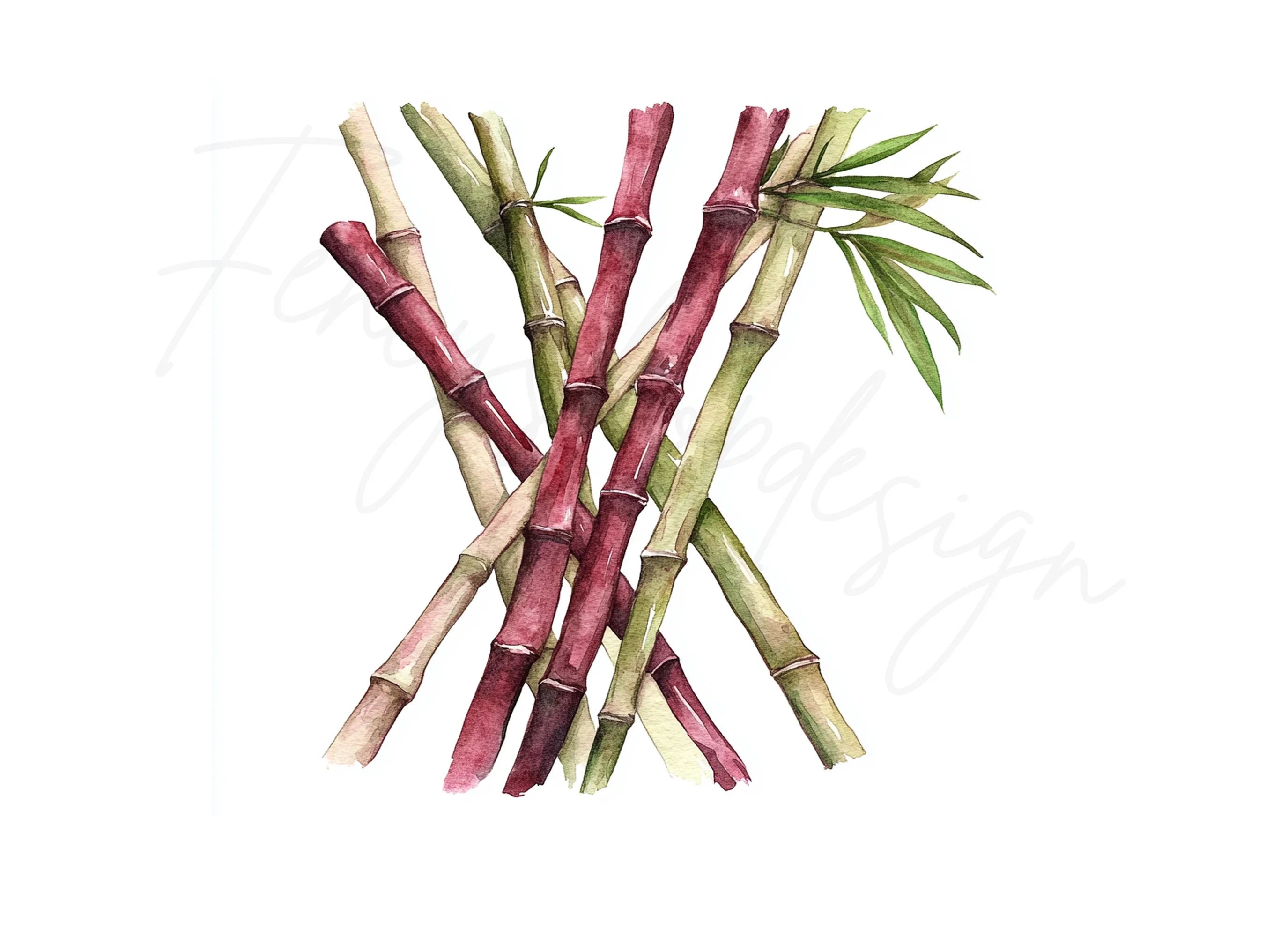Bamboo Stalks Clipart Bundle