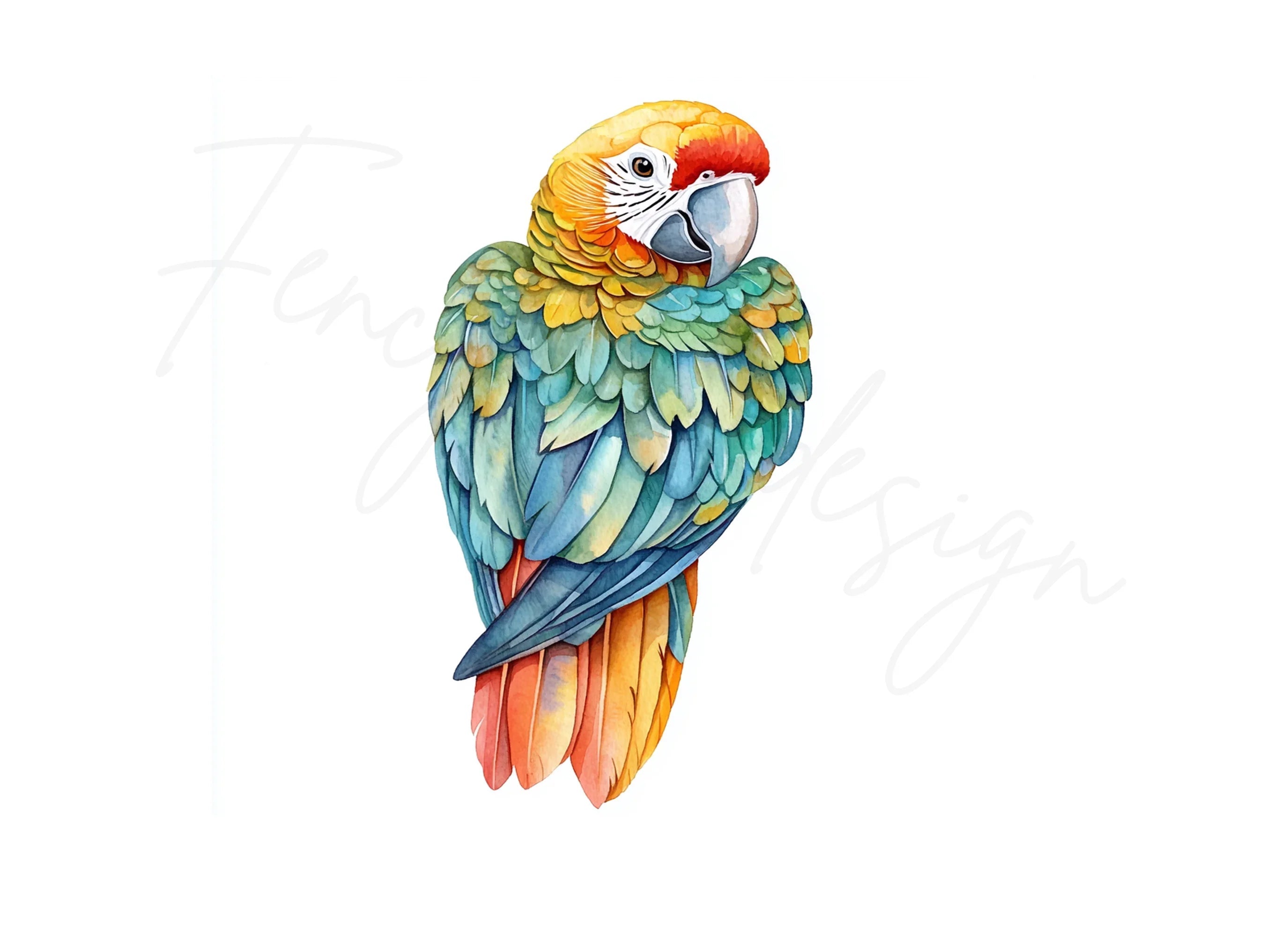 Vibrant Macaw Clipart Bundle