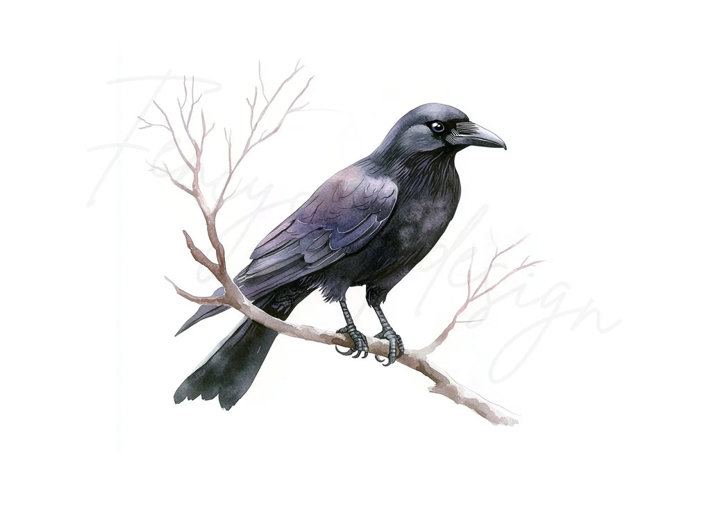 Black Crow Bird Clipart Bundle