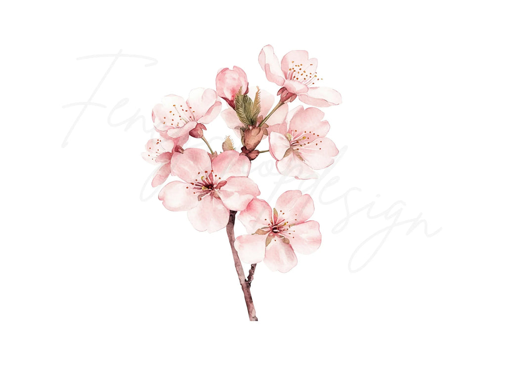Delicate Cherry Blossom Clipart Bundle