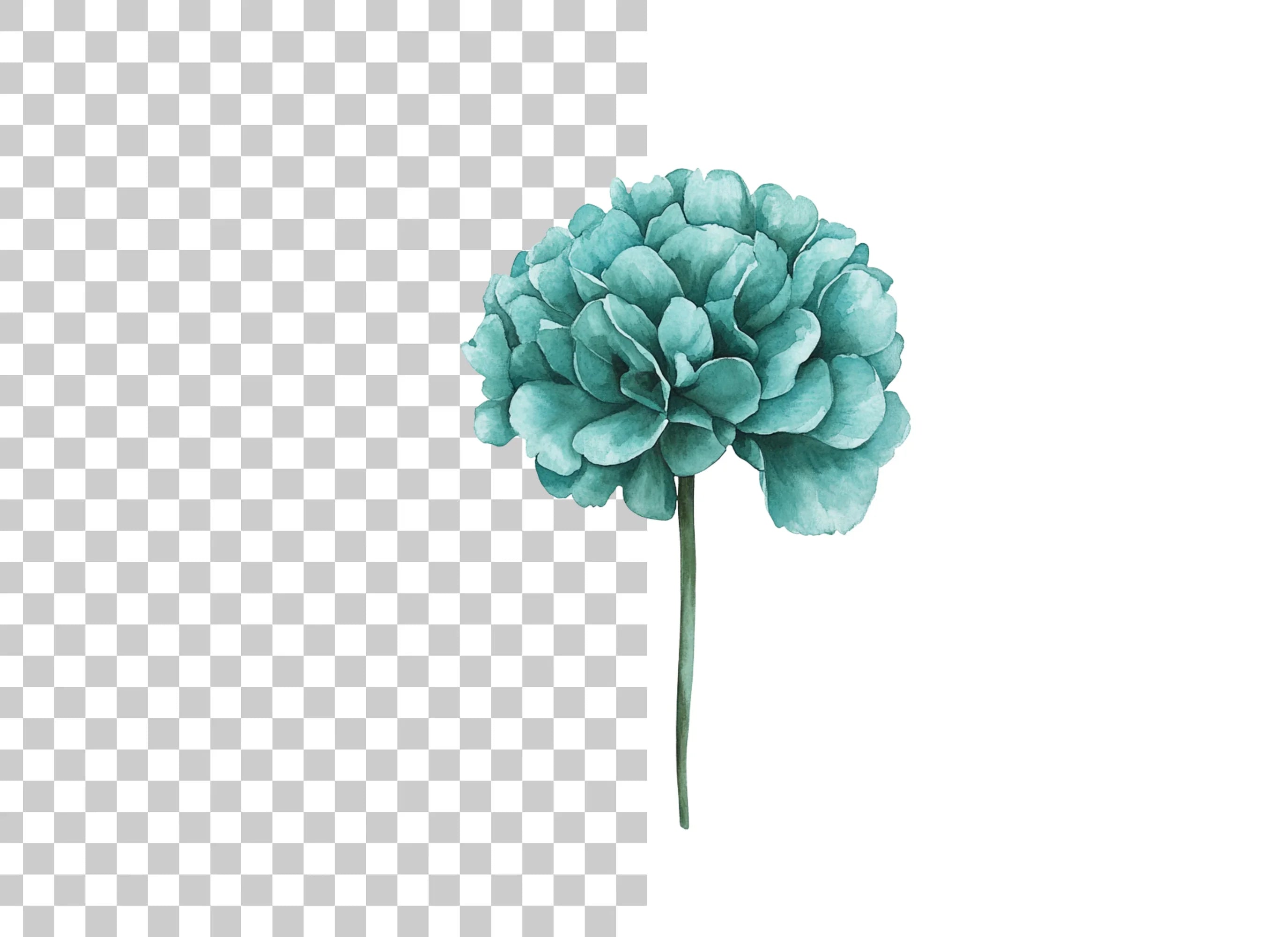 Teal Peony Flower Clipart Bundle