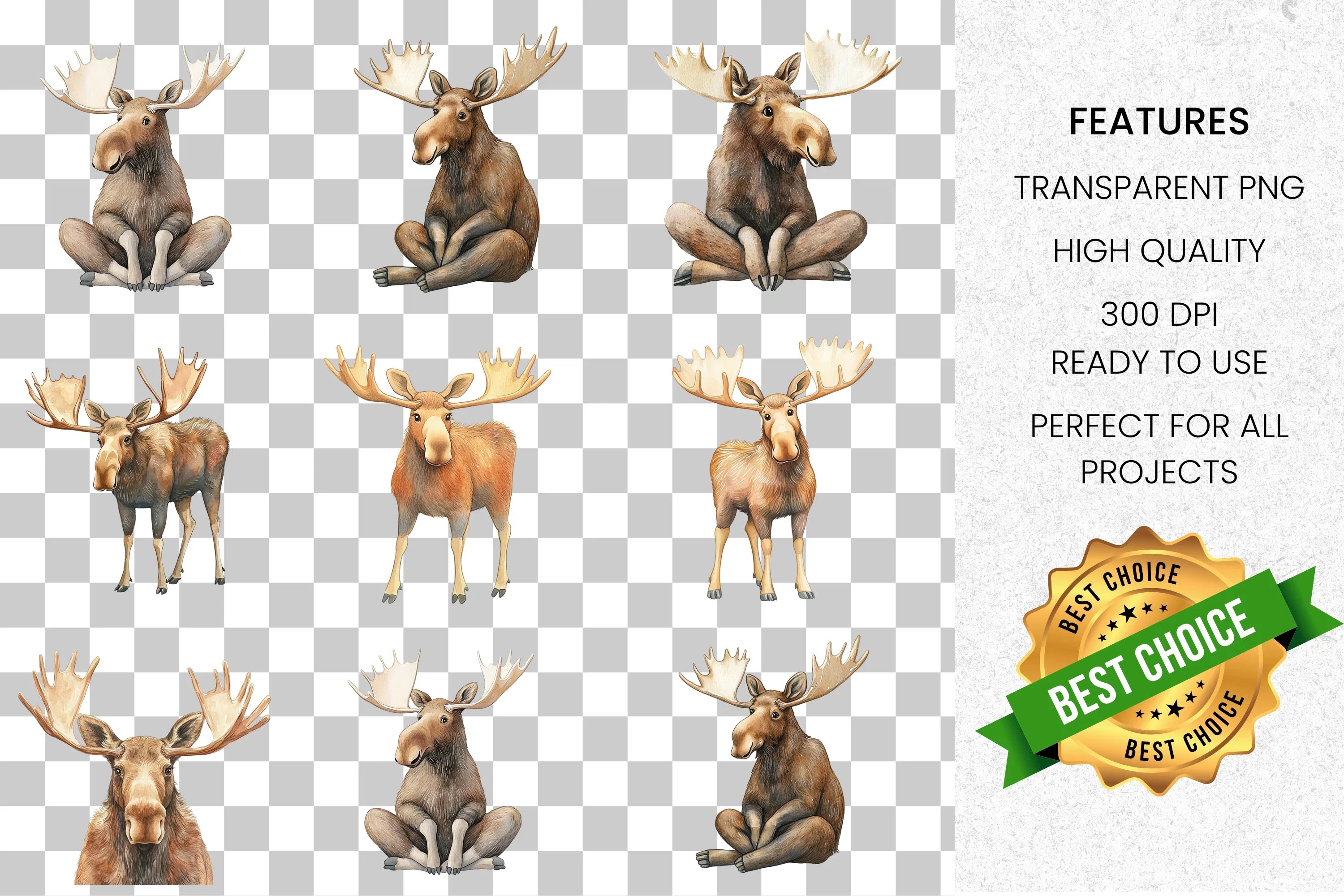 Moose Animal Clipart Bundle