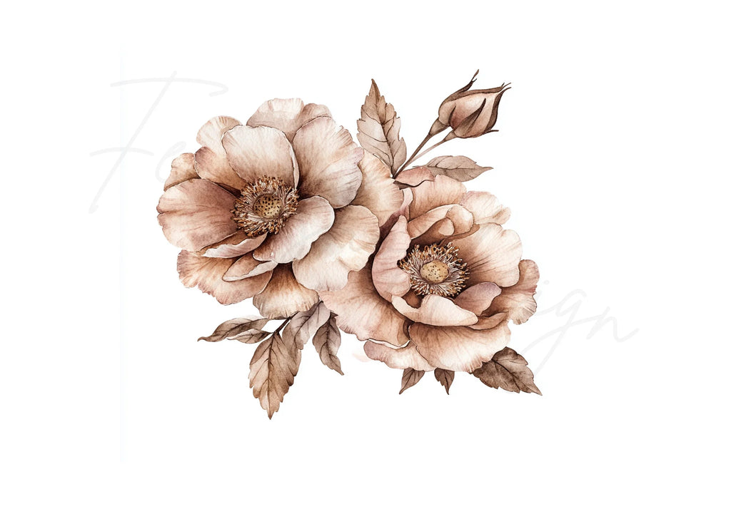 Vintage Camera and Floral Clipart Bundle