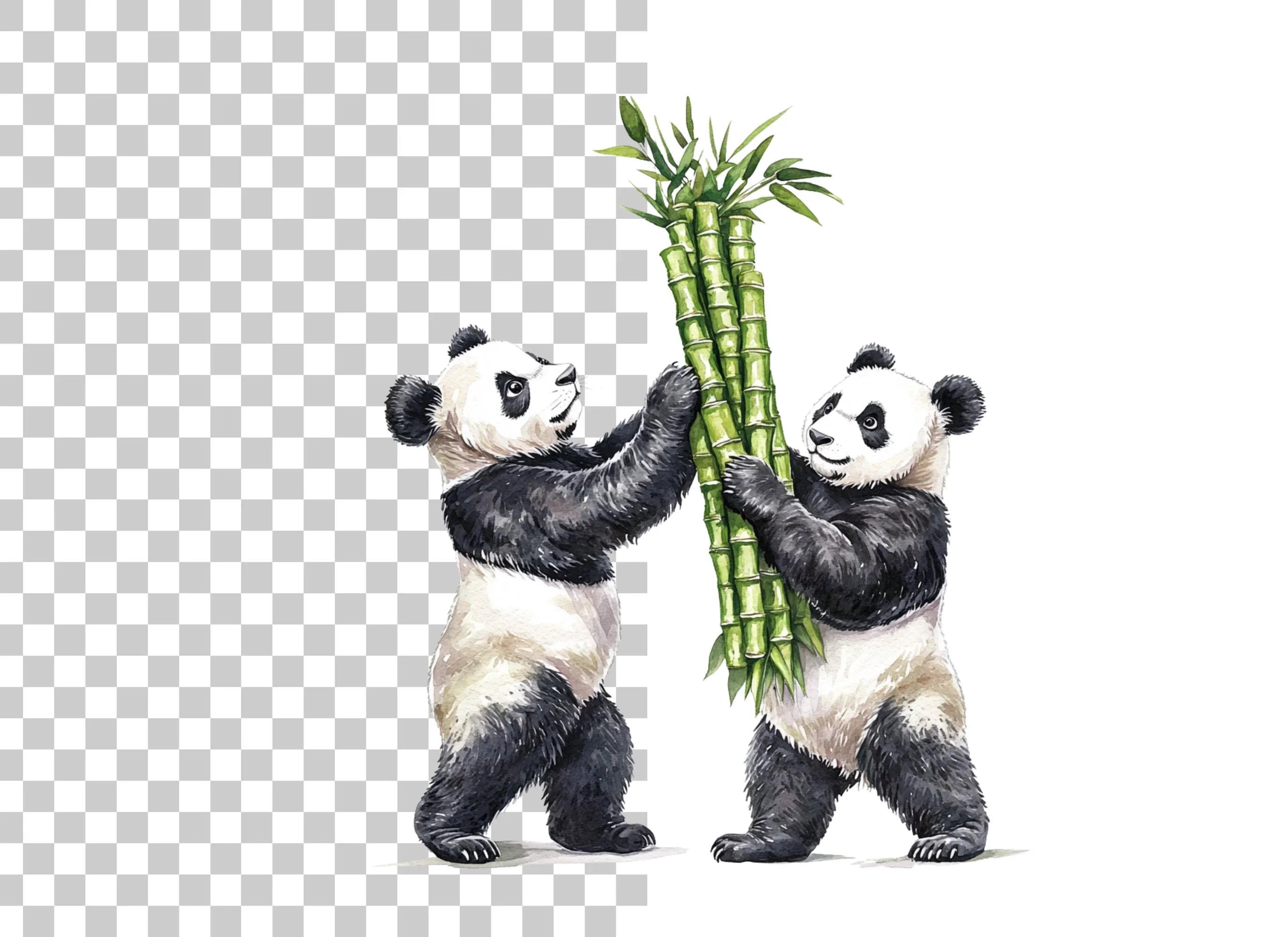 Playful Pandas with Bamboo Clipart Bundle