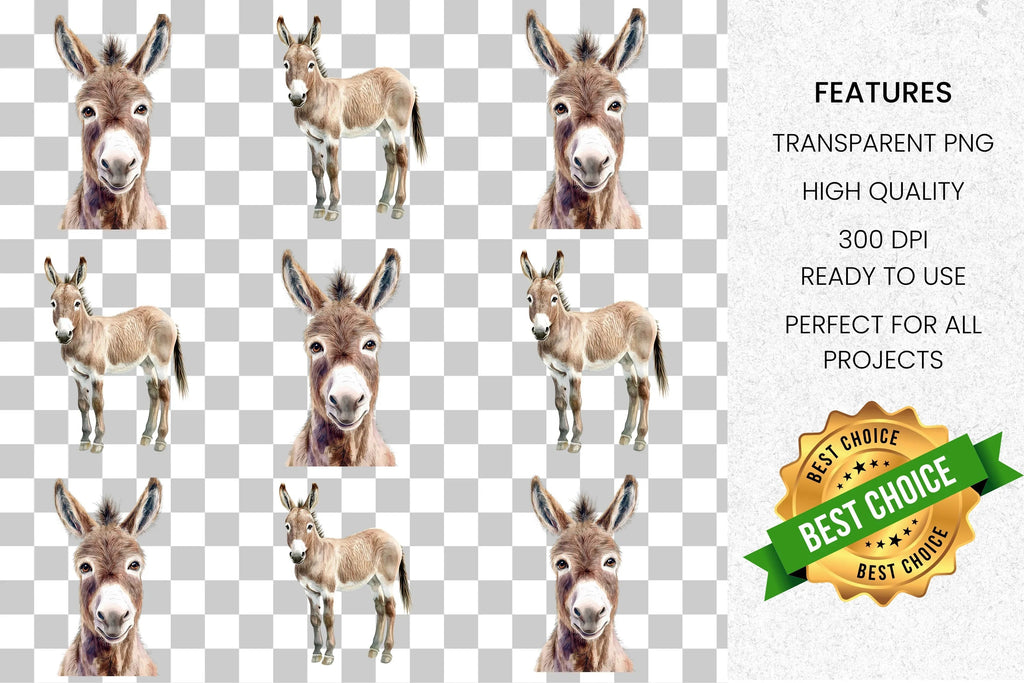 Cute Donkey Clipart Bundle