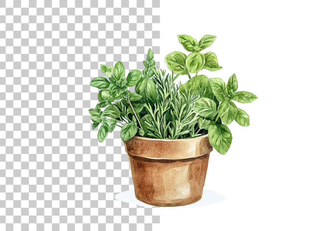 Herb Pot Clipart Bundle
