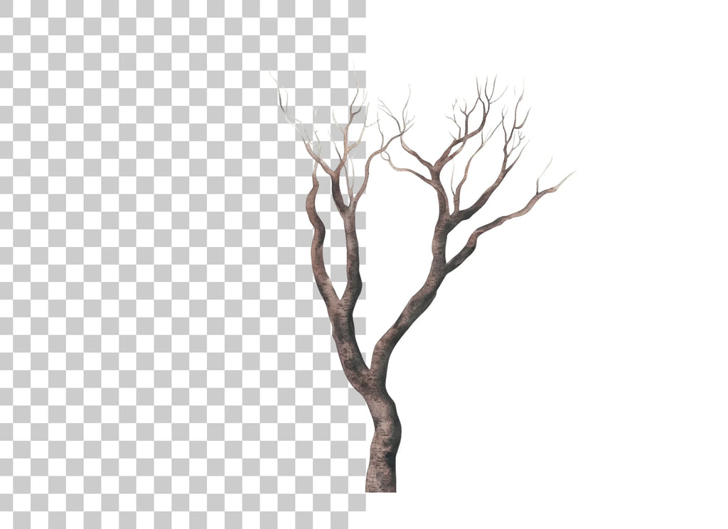 Bare Tree Branches Clipart Bundle