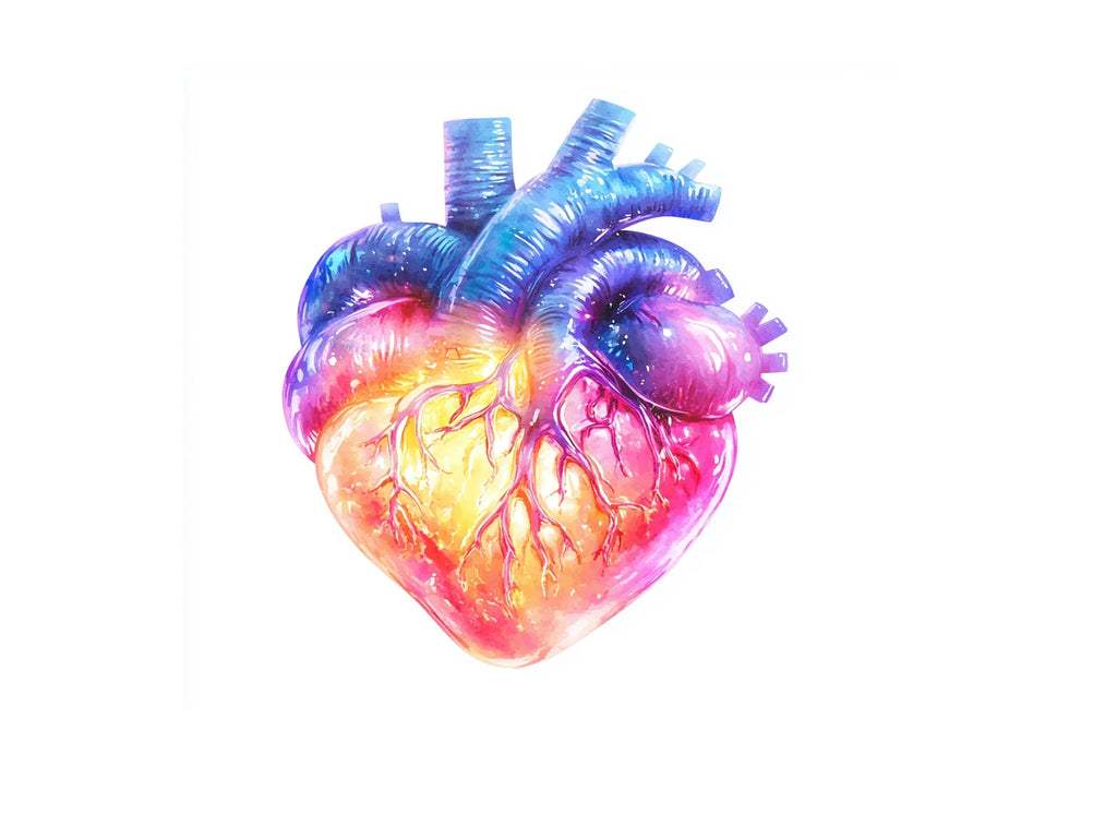 Vibrant Human Heart Clipart Bundle