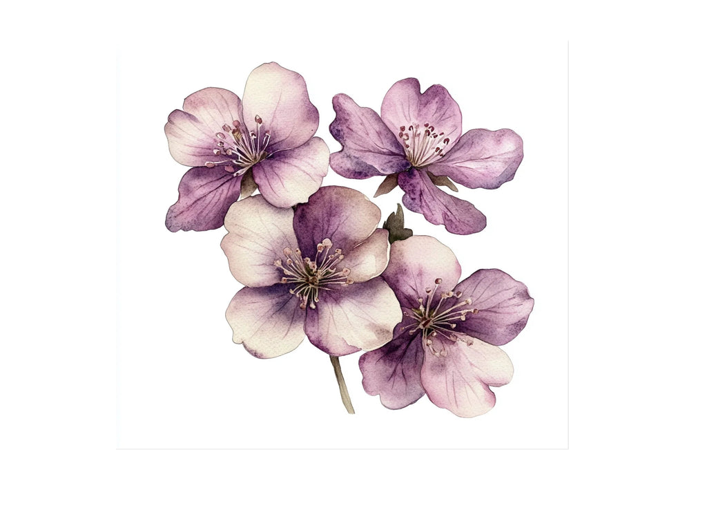 Elegant Floral Clipart Bundle