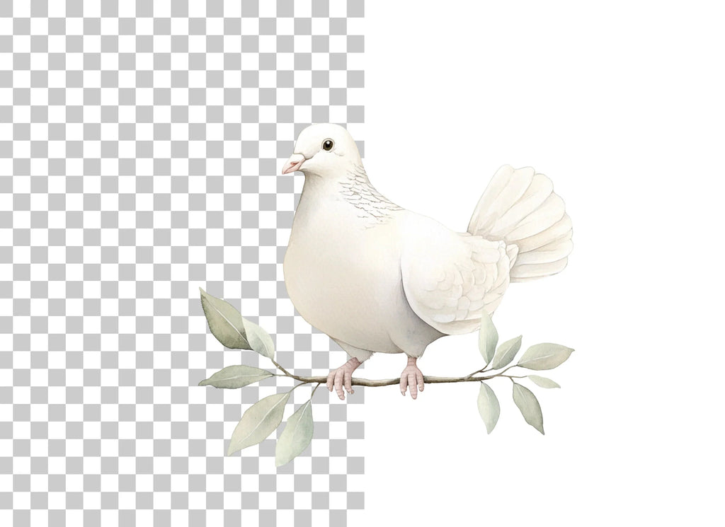 Dove Clipart Bundle