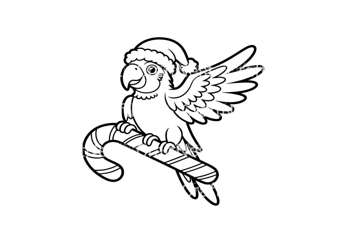 Christmas Parrots on Candy Canes Coloring Books