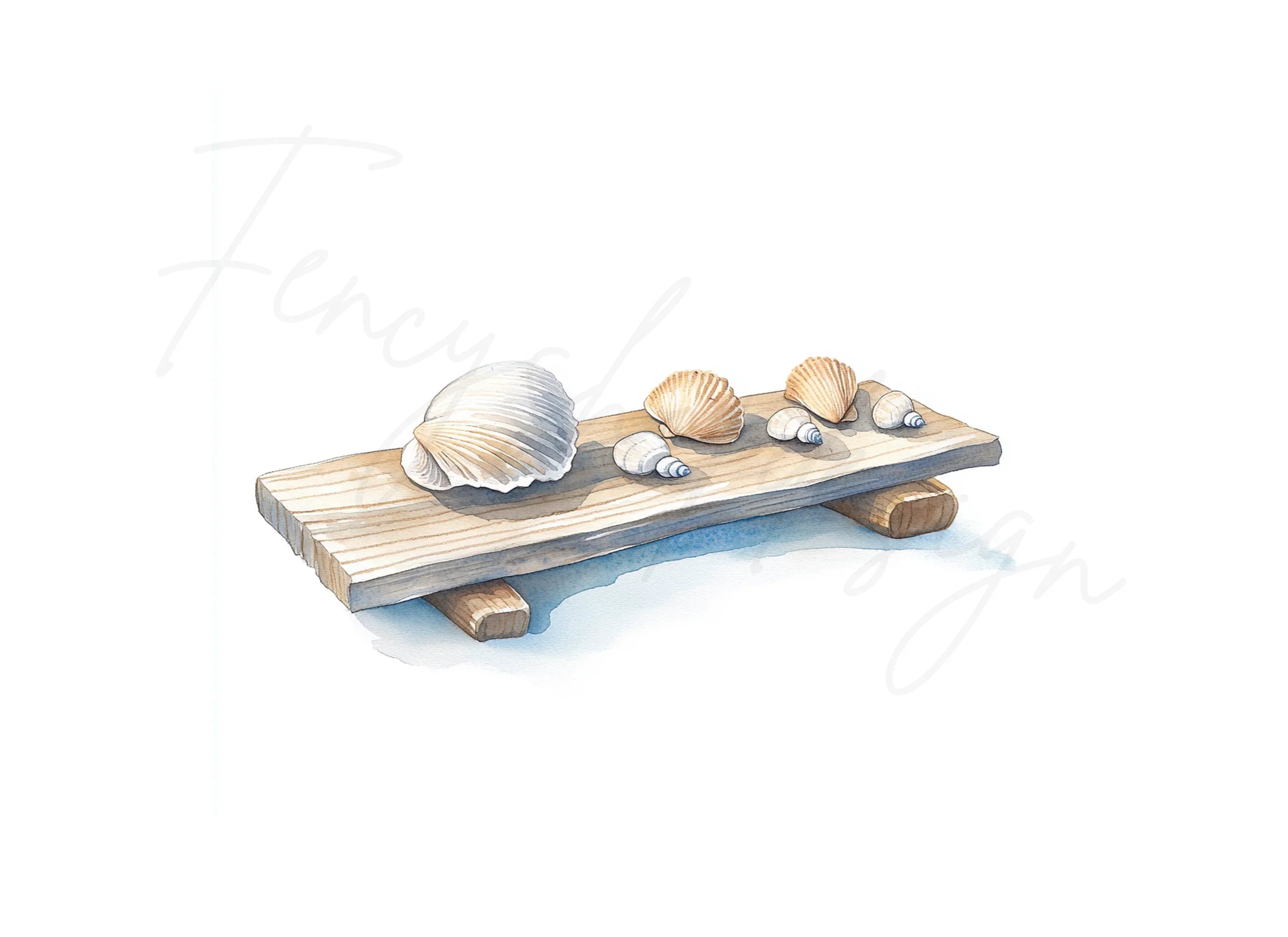 Seashells on Wooden Planks Clipart Bundle