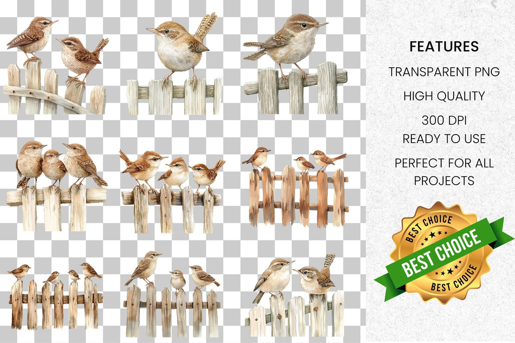 Cute Sparrows on Wooden Fence Clipart Bundle