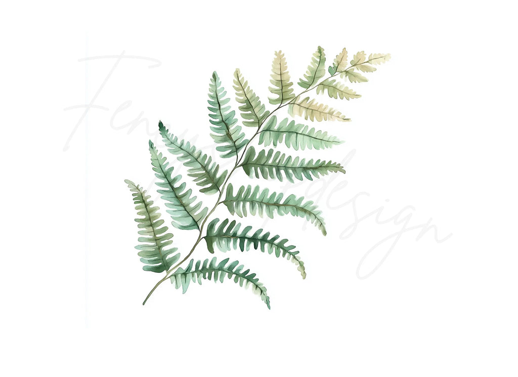 Fern Leaves Clipart Bundle