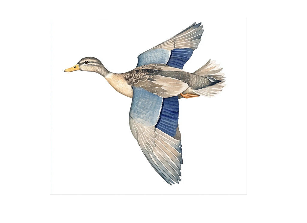 Flying Duck Clipart Bundle