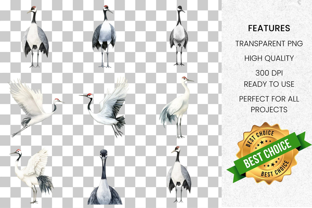 Elegant Crane Bird Clipart Bundle
