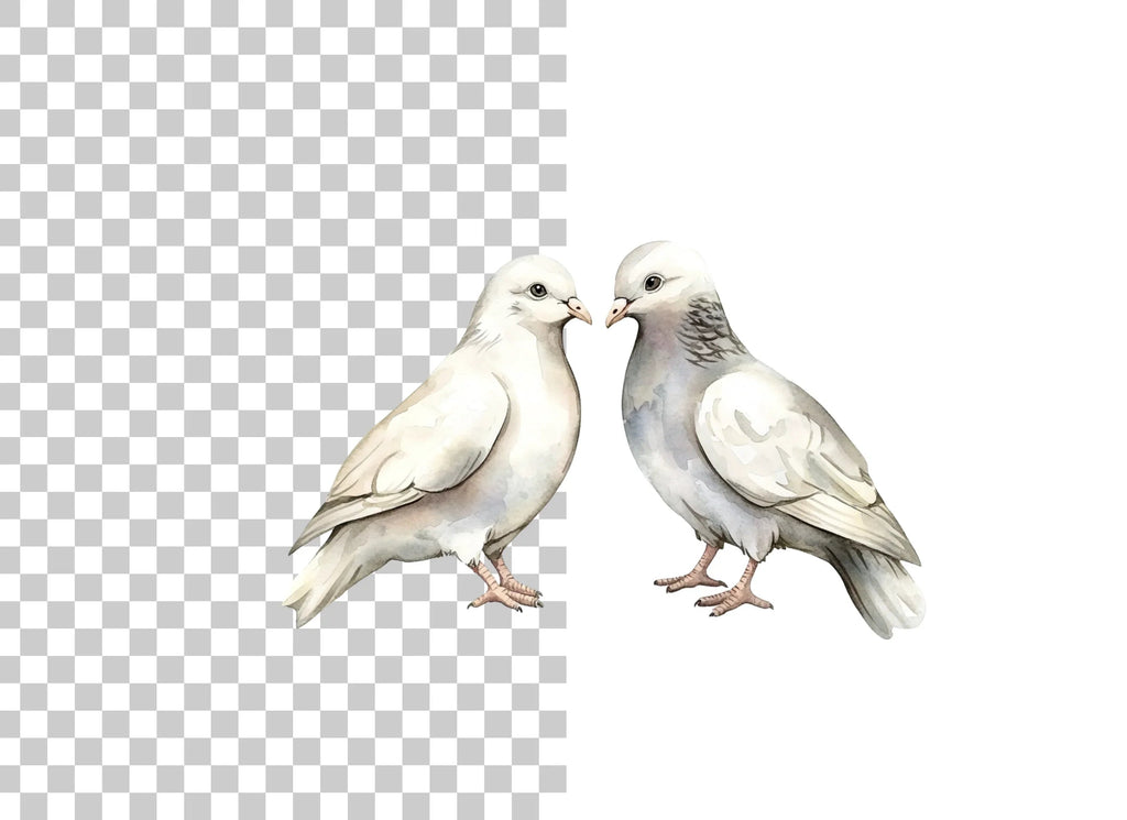 White Dove Pair Clipart Bundle