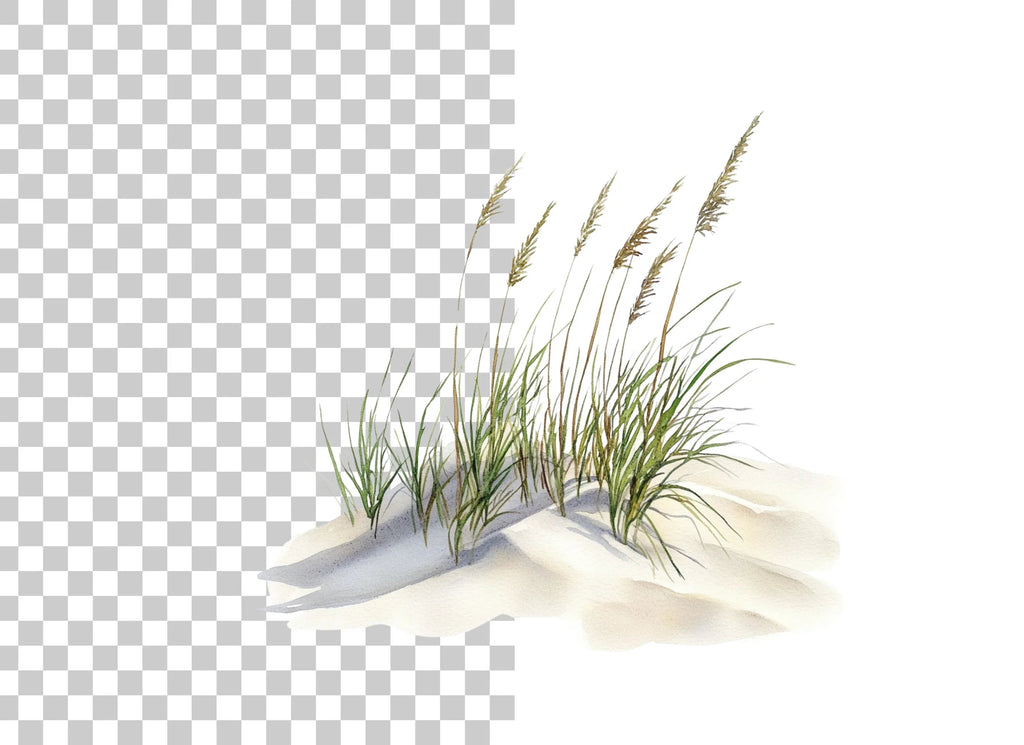 Beach Dune Grass Sand Clipart Bundle