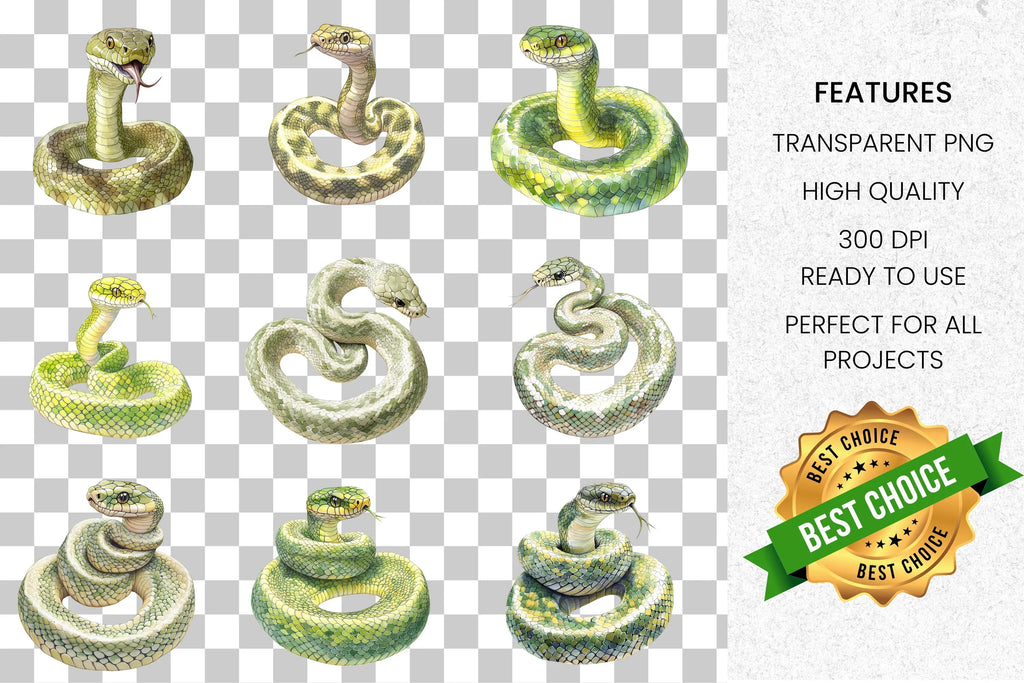 Diverse Snake Reptile Wildlife Clipart Bundle