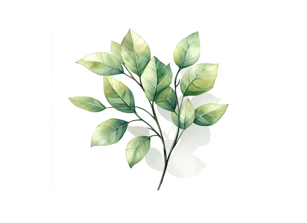 Green Leafy Branches Clipart Bundle