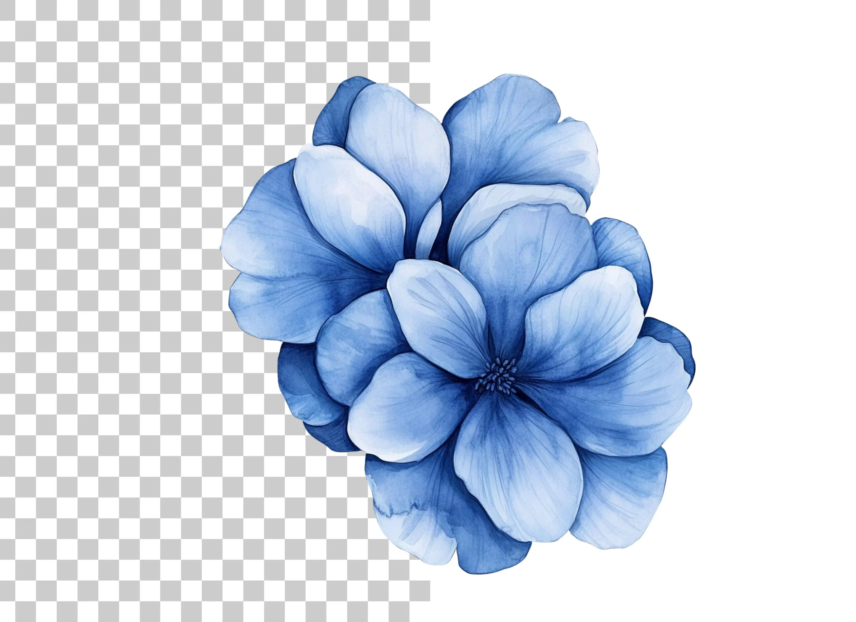 Vibrant Blue Hydrangea Clipart Bundle