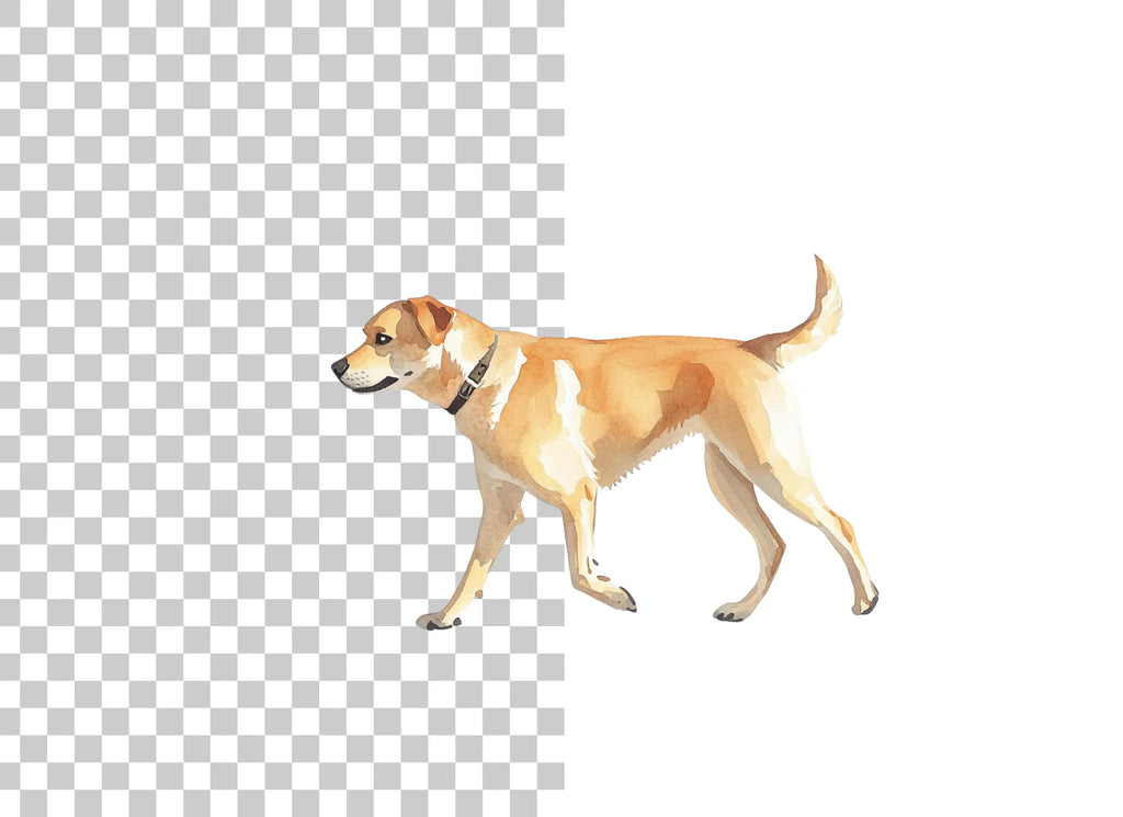 Golden Retriever Dog Clipart Bundle