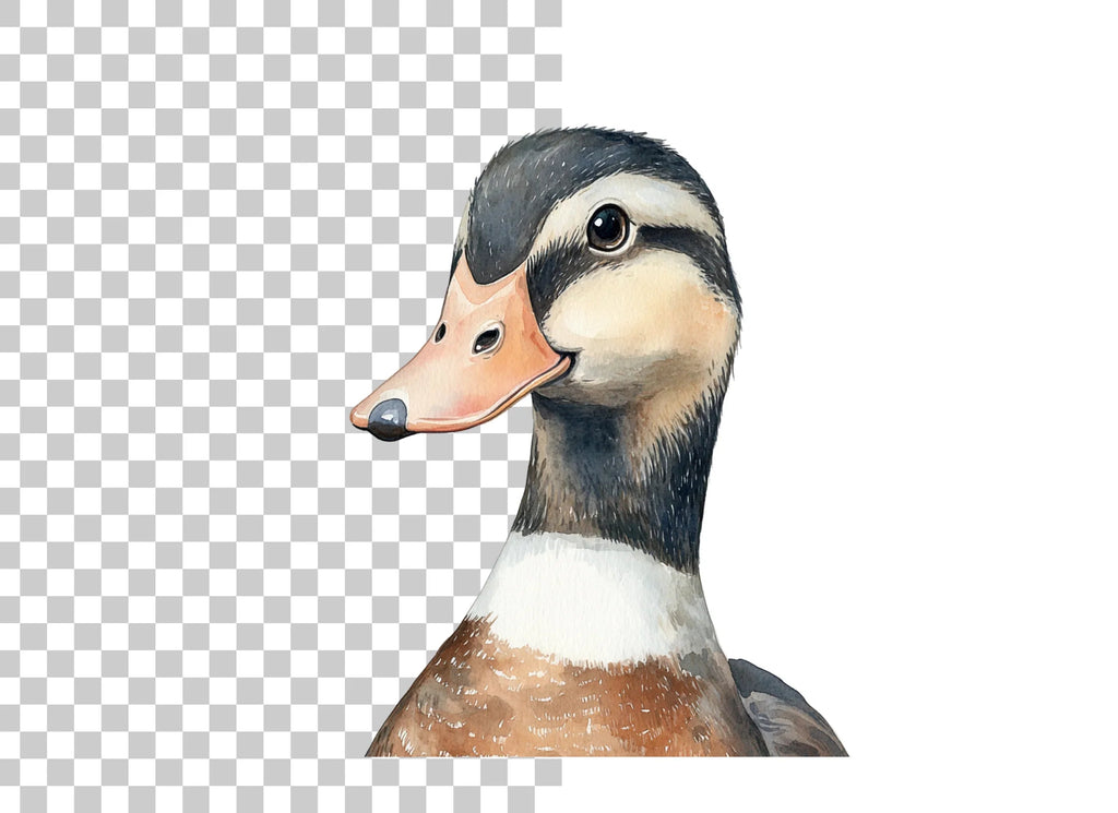 Cute Duckling Clipart Bundle