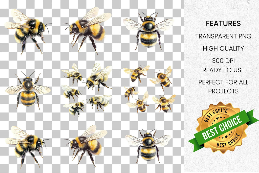 Realistic Bumblebee Clipart Bundle