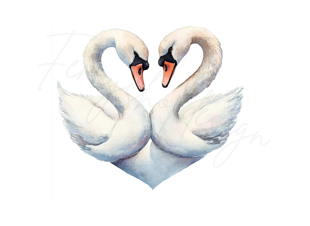Swans Heart Clipart Bundle