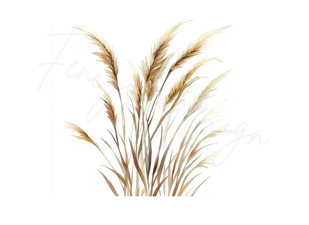 Pampas Grass Illustrations Clipart Bundle