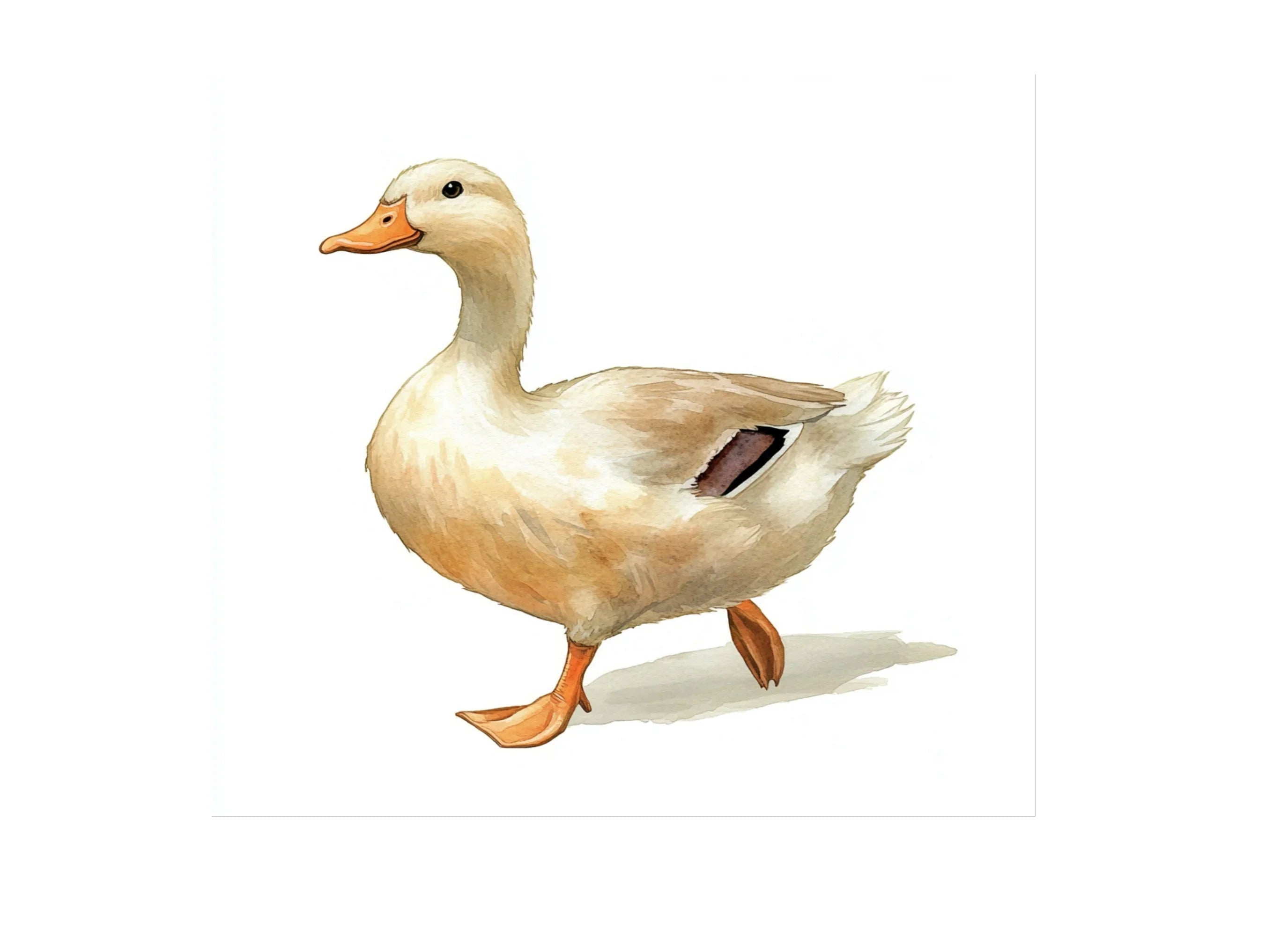 Walking Duck Clipart Bundle