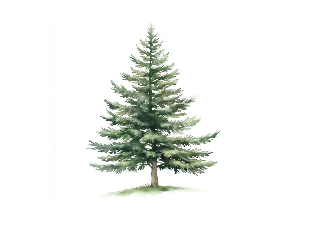 Pine Tree Clipart Bundle