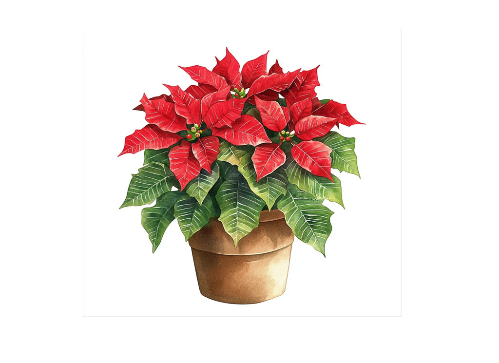 Potted Poinsettia Christmas Clipart Bundle