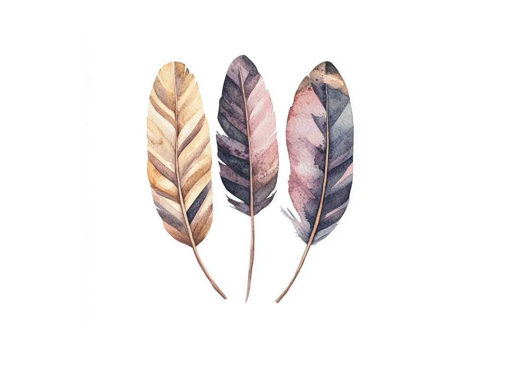 Natural Feather Clipart Bundle