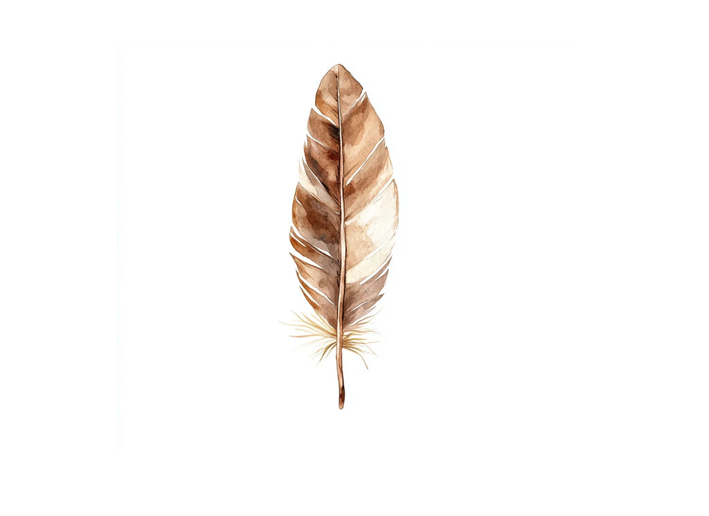 Boho Feather Clipart Bundle
