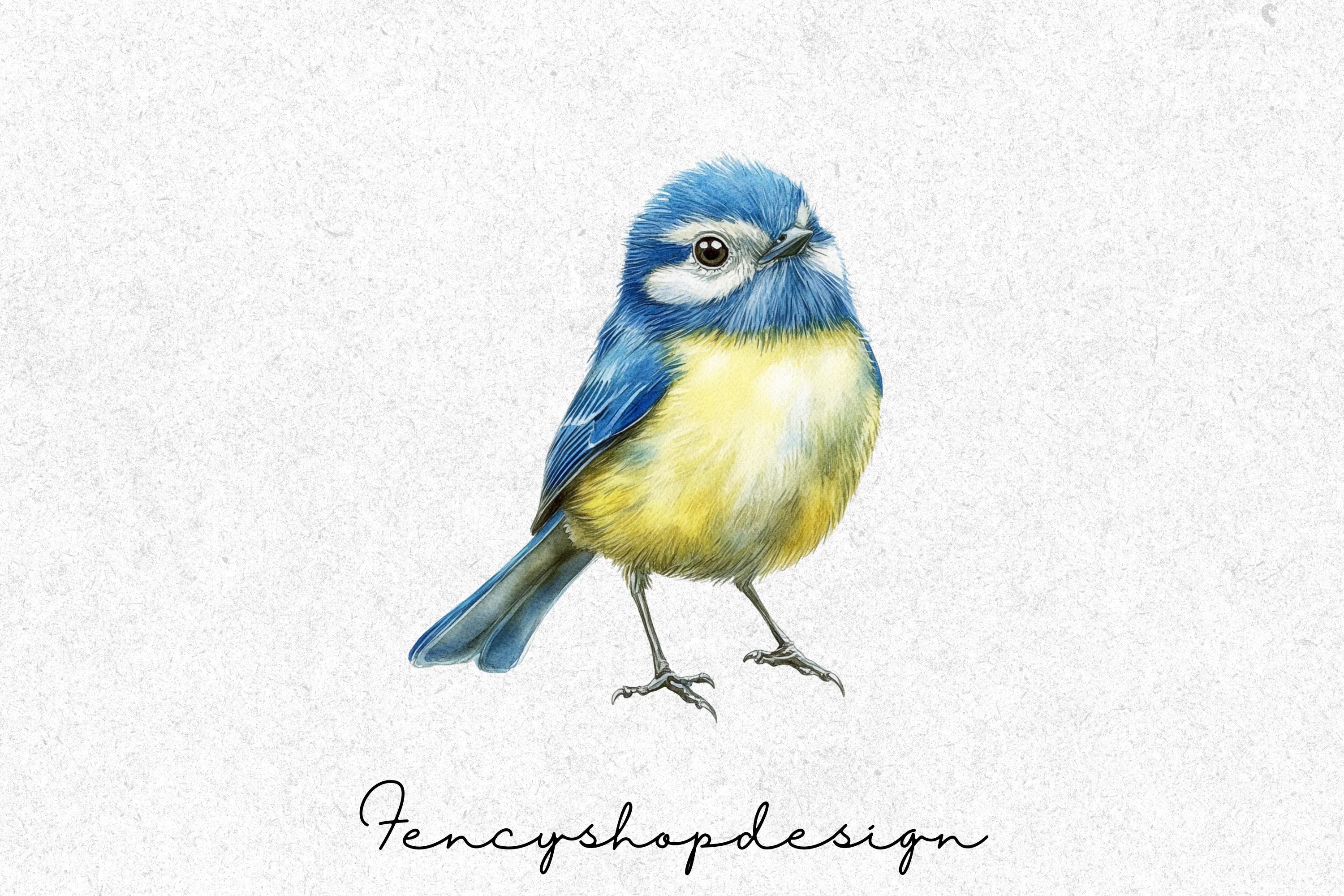 Charming Blue Tit Bird Clipart Bundle