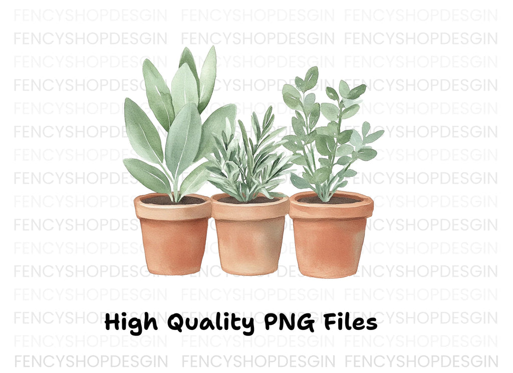 Herb Plants in Terracotta Pots Clipart Bundle