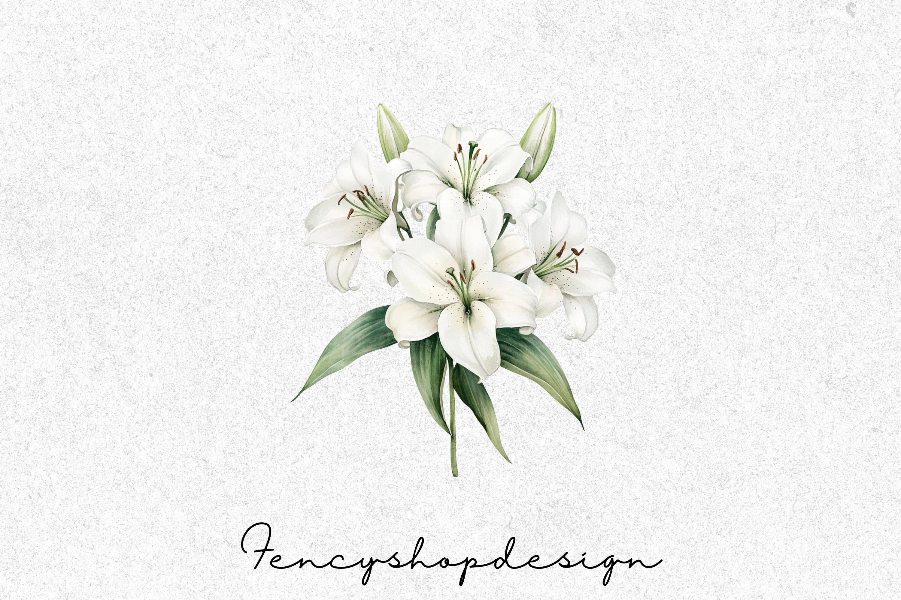 Delicate White Flowers Clipart Bundle