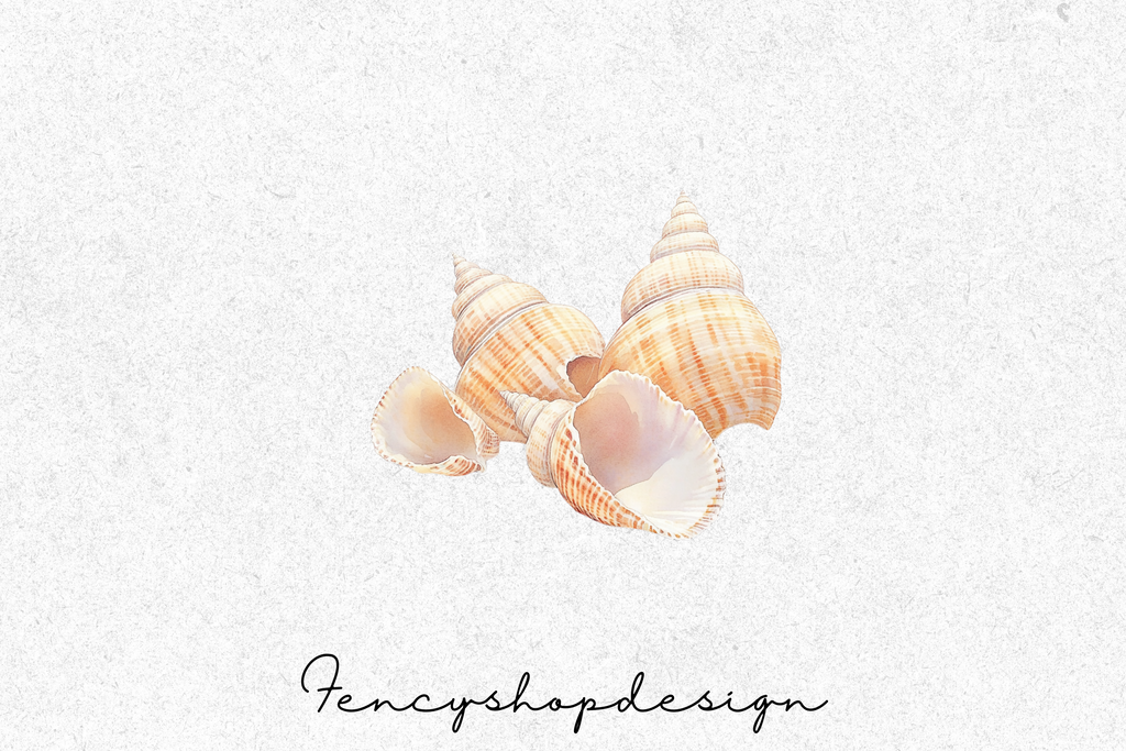 Seashell Clipart Bundle