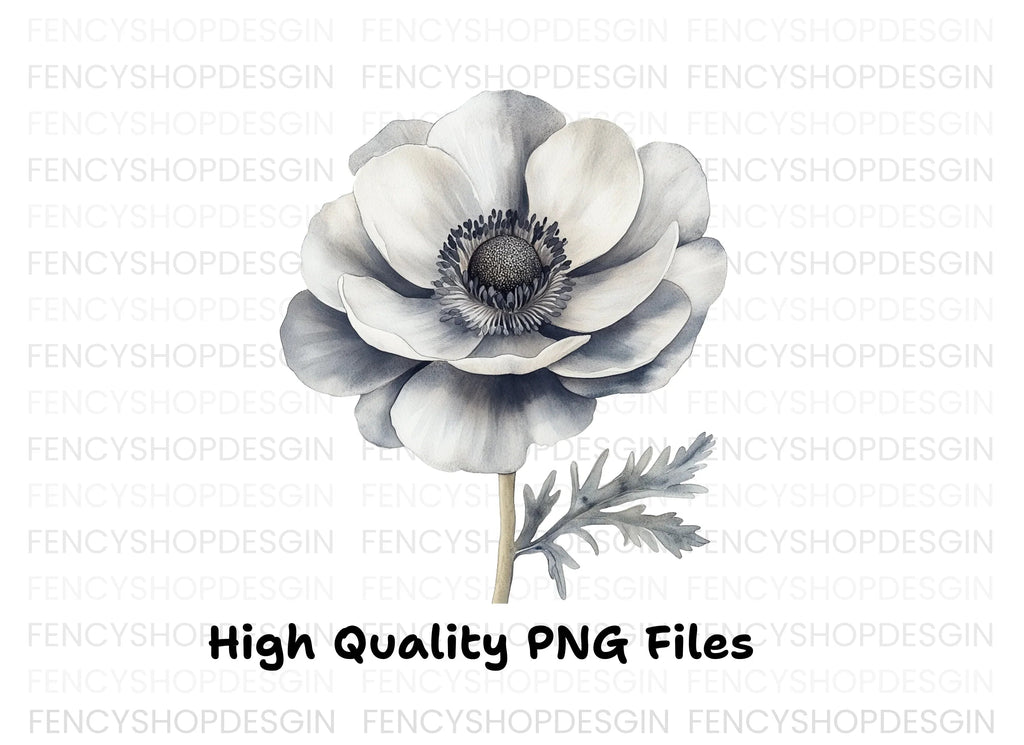 Elegant Anemone Flower Clipart Bundle