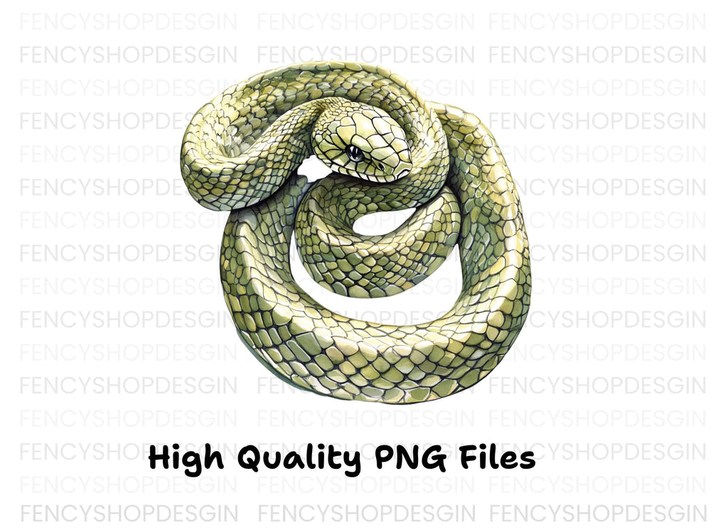 Realistic Green Snake Illustrations Clipart Bundle