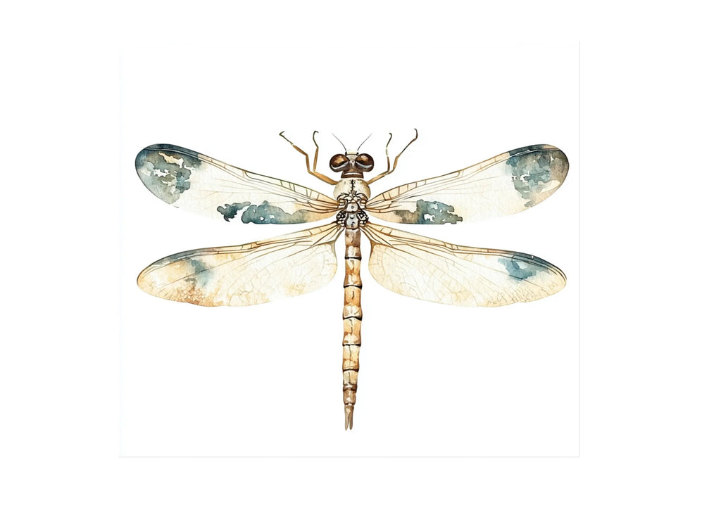 Delicate Dragonfly Clipart Bundle