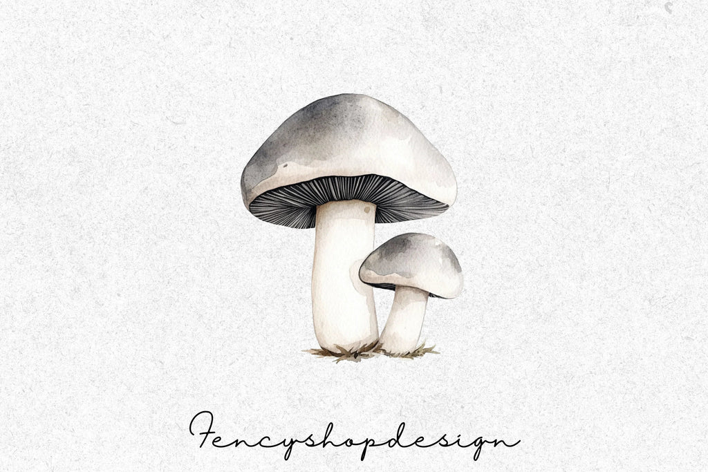 Forest Mushroom Clipart Bundle