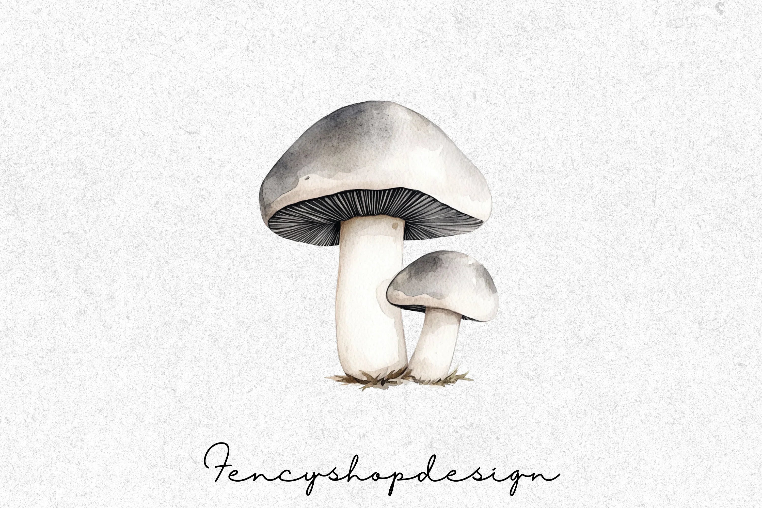 Forest Mushroom Clipart Bundle