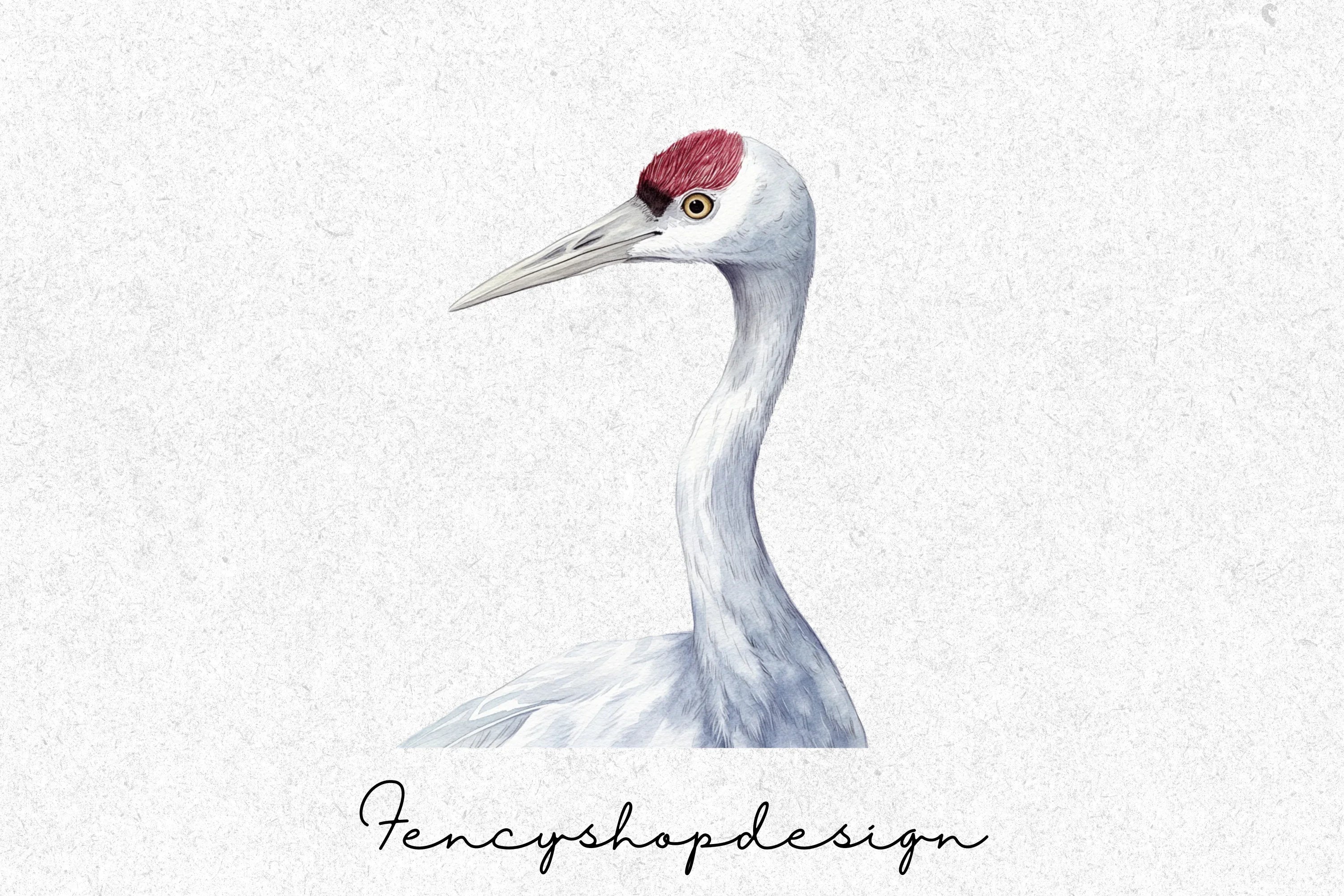 Elegant White Crane Clipart Bundle