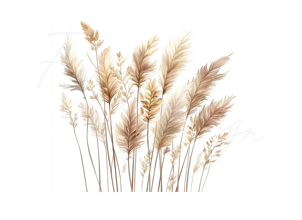 Pampas Grass Clipart Bundle