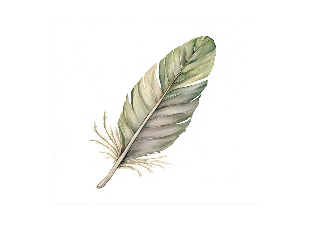 Feathers Clipart Bundle