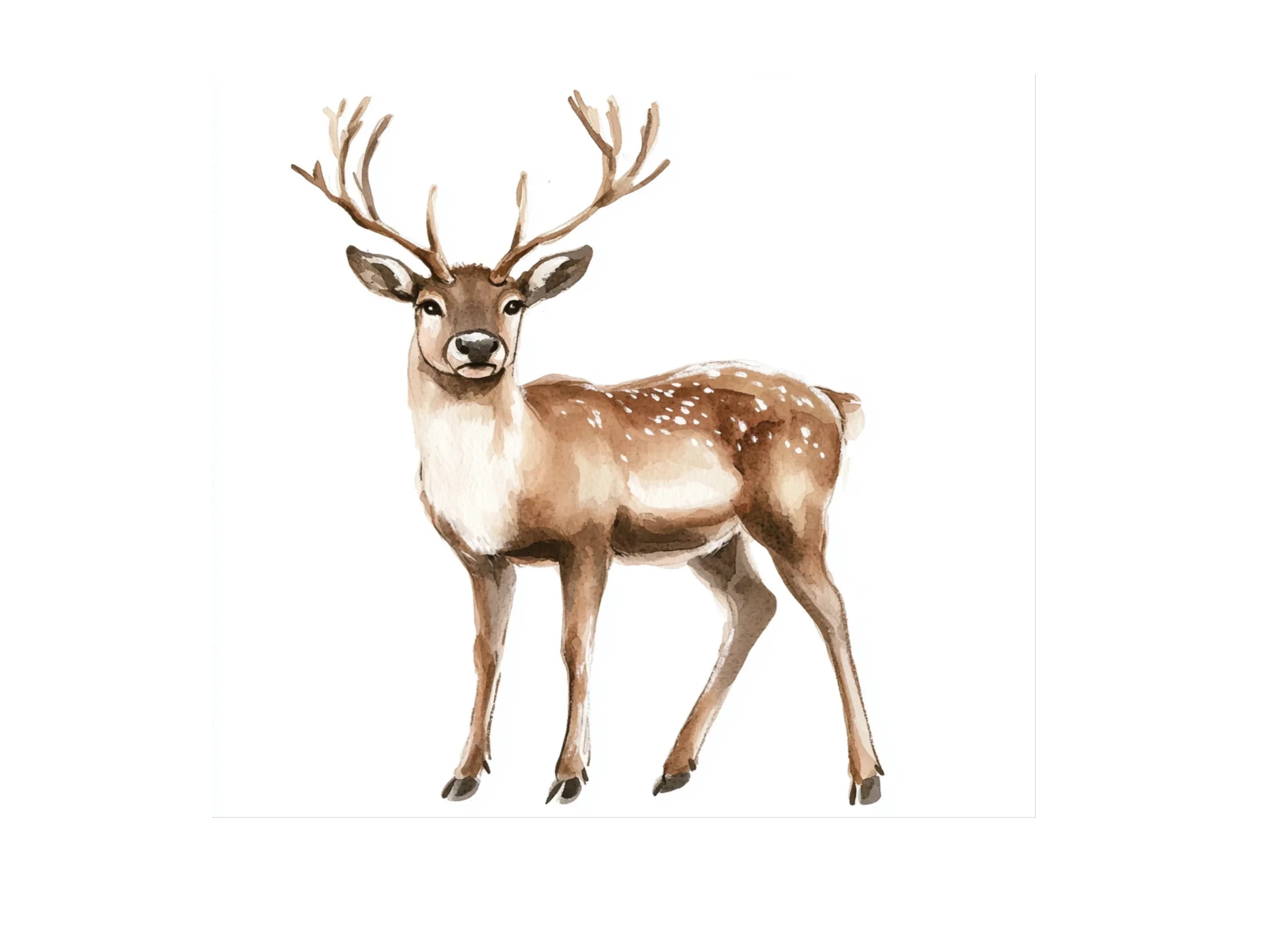 Deer Clipart Bundle