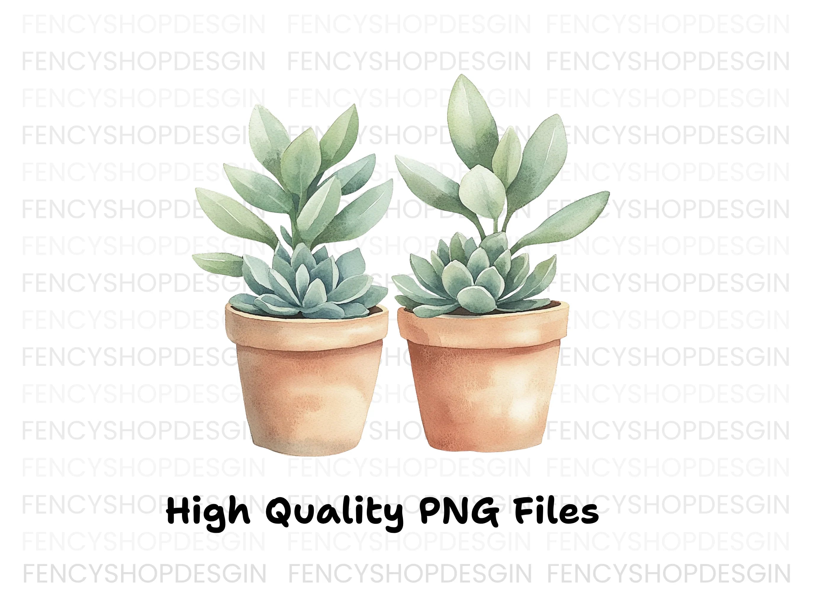 Cute Potted Succulent Duo Clipart Bundle